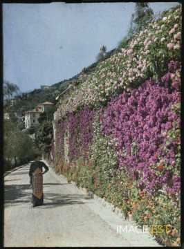 Femme près d'un mur fleuri (Beaulieu-sur-Mer)