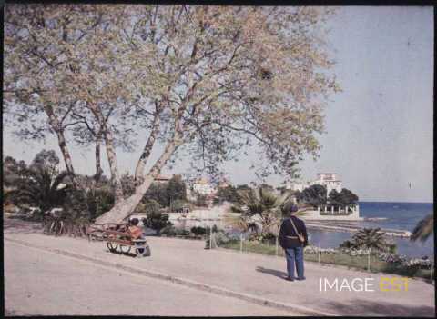 Baie des Fourmis (Beaulieu-sur-Mer)
