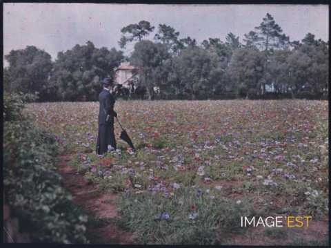 Femme dans un champ de fleurs