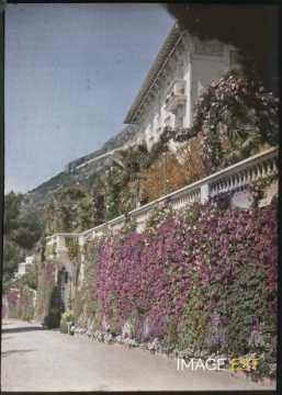 Mur fleuri (Beaulieu-sur-Mer)
