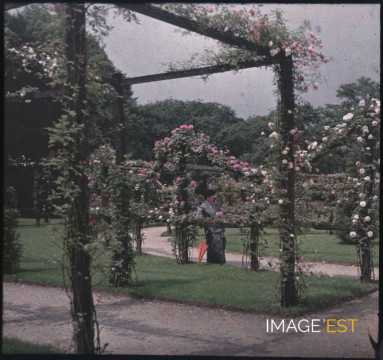 Femme dans un parc (Paris)
