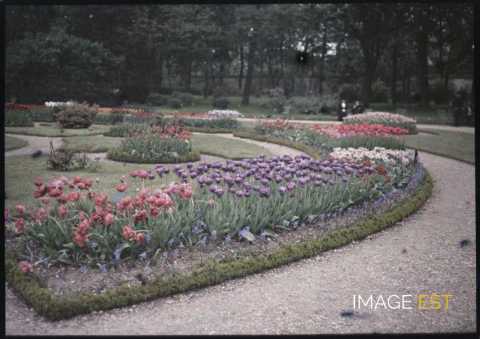 Parterres de fleurs (Paris)