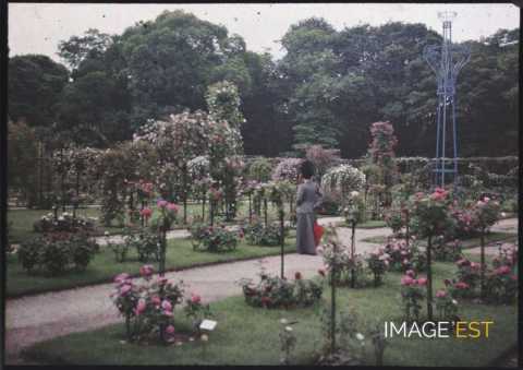 Femme dans un parc (Paris)