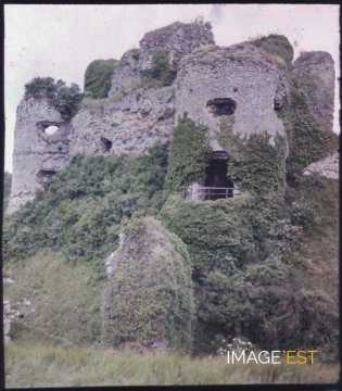 Vestiges du château (Arques-la-Bataille)