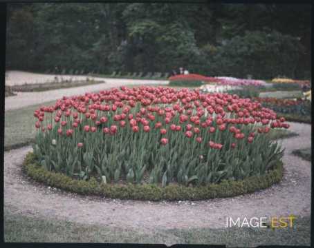 Parterre de fleurs (Paris)