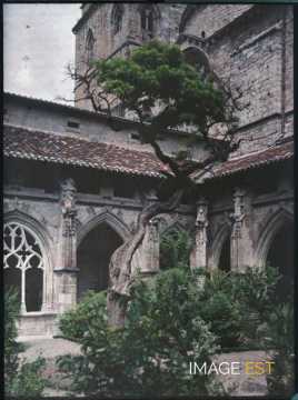 Cloitre de la Cathédrale Saint-Étienne (Cahors)