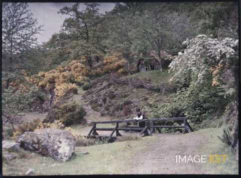 Homme sur un pont (Bruyères)