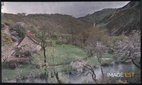 Paysage vallonné