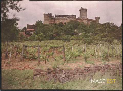 Vignes (Prudhomat)
