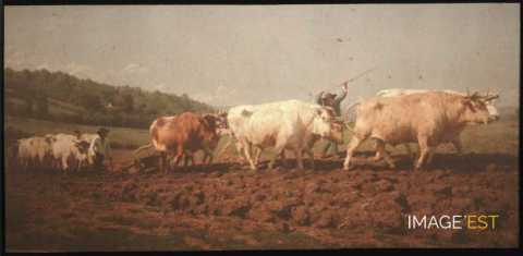Labourage nivernais