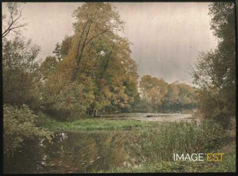 Cours d'eau