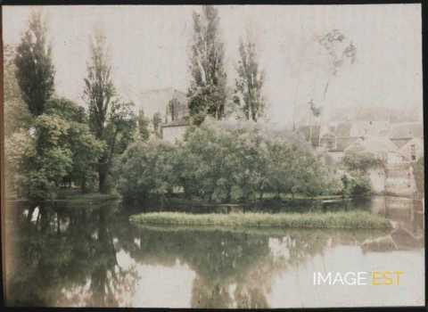 Étang (Moret-Loing-et-Orvanne)