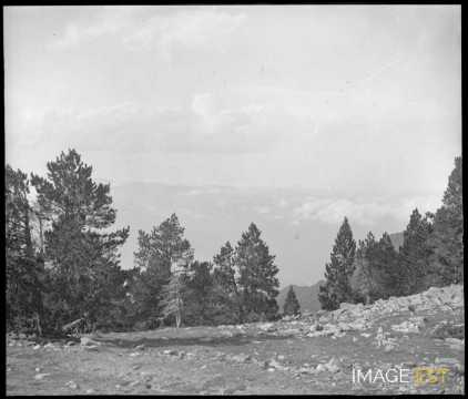 Paysage montagneux (Vernet-les-Bains)