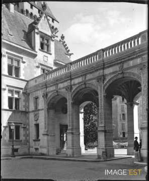 Le Château (Pau)