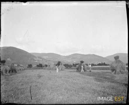 Scène de la vie paysanne (Vosges)