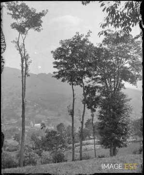 Paysage montagneux (Alsace)