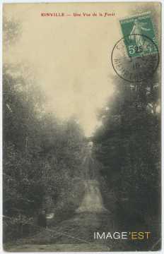En forêt (Einville)