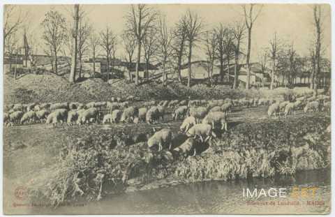 Troupeau de mountons (Maixe)