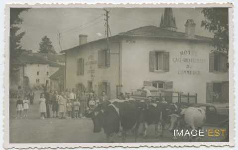 Vaches (Benney)