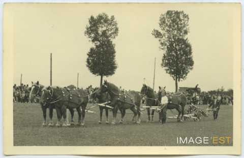 Fête de la Moisson (Houdreville)