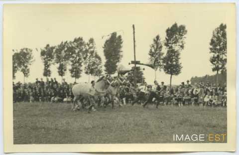 Fête de la Moisson (Houdreville)