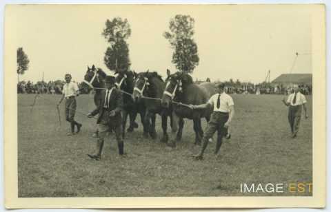 Fête de la Moisson (Houdreville)
