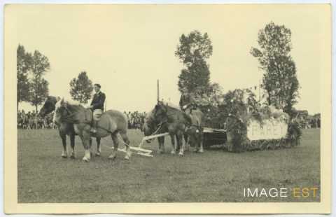 Fête de la Moisson (Houdreville)