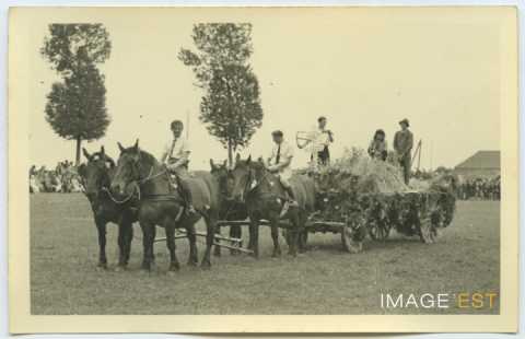 Fête de la Moisson (Houdreville)