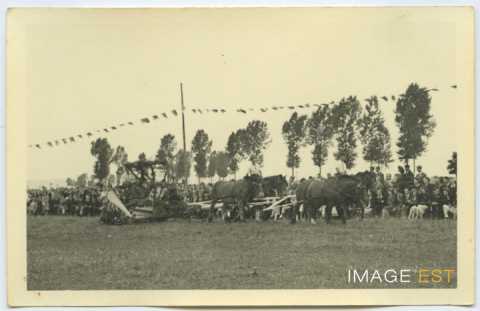 Fête de la Moisson (Houdreville)