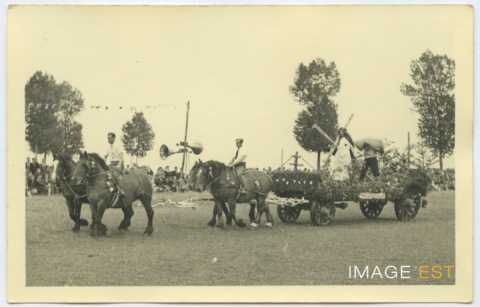 Fête de la Moisson (Houdreville)
