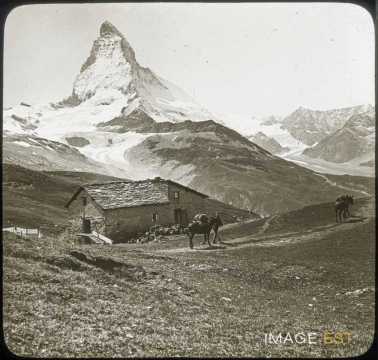 Mont Cervin (Suisse)