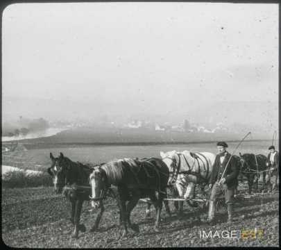 Retour de labour  (Dauphiné)