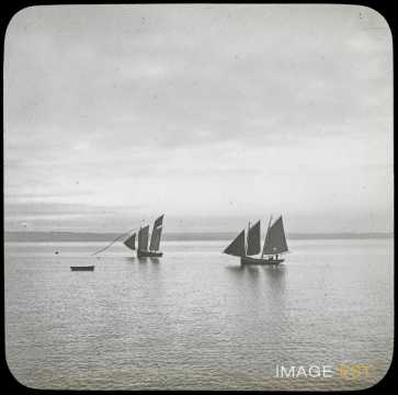 Voiliers (Saint-Quay-Portrieux)