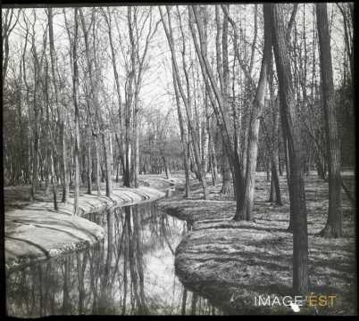 Bois de Boulogne (Paris)