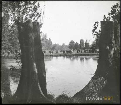 Bois de Boulogne (Paris)