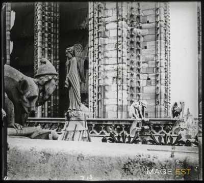 Gargouilles de Notre-Dame (Paris)