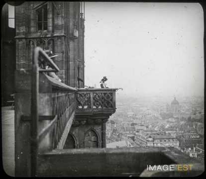 Cathédrale (Strasbourg)