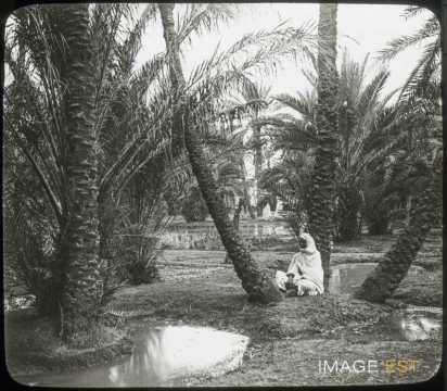 Jardin Landon (Beskra)