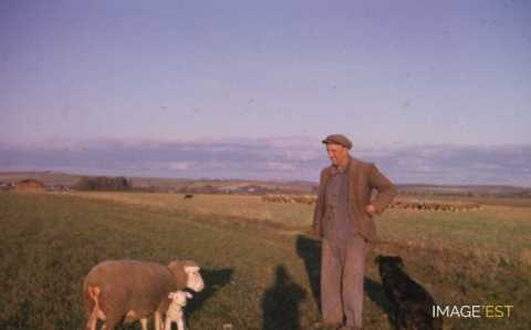 Scène de la vie rurale