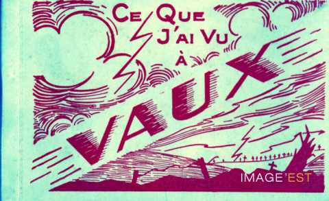 Ce que j'ai vu à Vaux (Vaux-devant-Damloup)