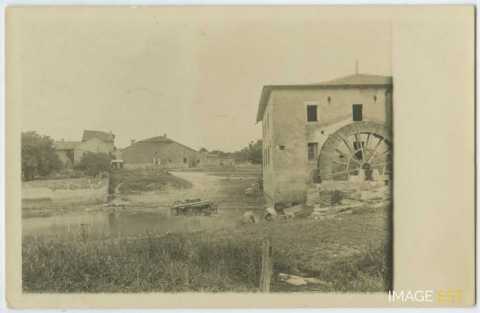 Au bord d'un cours d'eau (Essey-et-Maizerais)