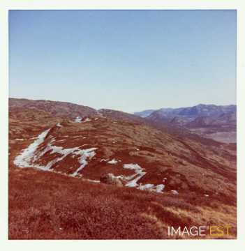 Banquise dégelée (Groenland)