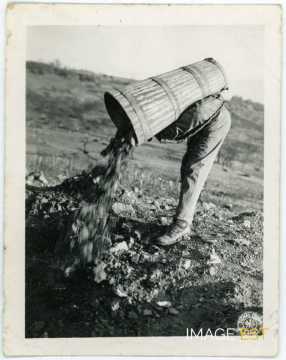 M. René Picard (Chaligny)