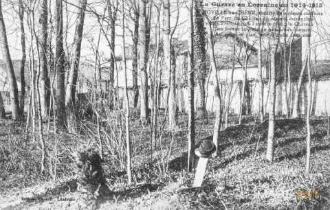 Parc du château (Roville-aux-chênes)