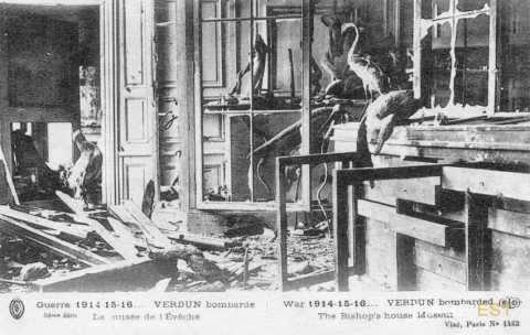 Musée  de l'Évéché en ruines (Verdun)