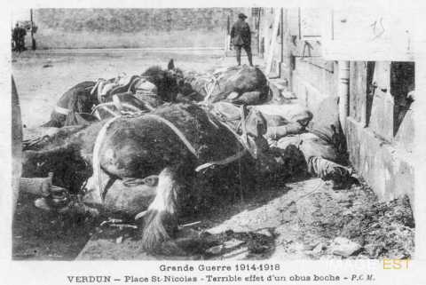 Attelage fauché  (Verdun)