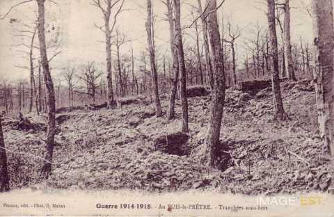 Tranches sous-bois (Montauville)