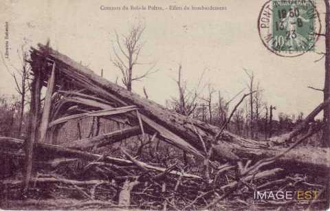 Arbre brisé  au Bois-le-Prêtre (Montauville)