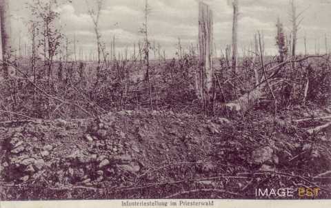 Lignes allemandes au Bois-le-Prêtre (Montauville)