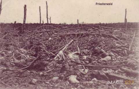 Secteur du Bois-le-Prêtre (Montauville)